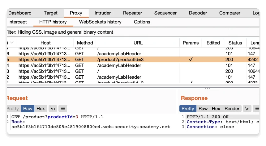Скриншот Burp Suite Professional 1