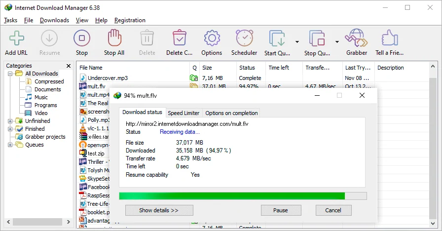 Скриншот Internet Download Manager 1