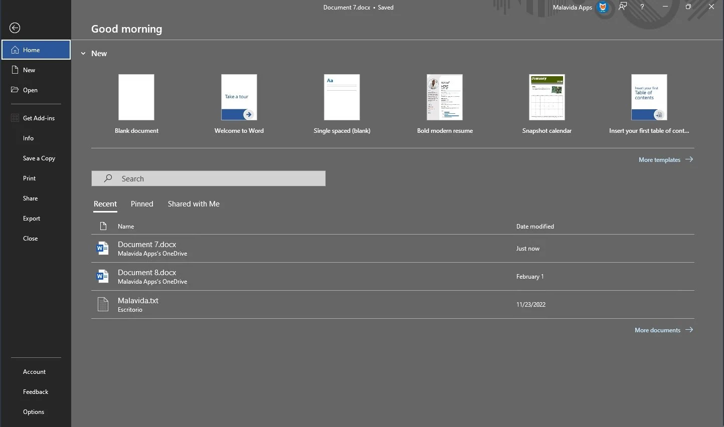 Скриншот Microsoft Office 2021 Professional Plus 1