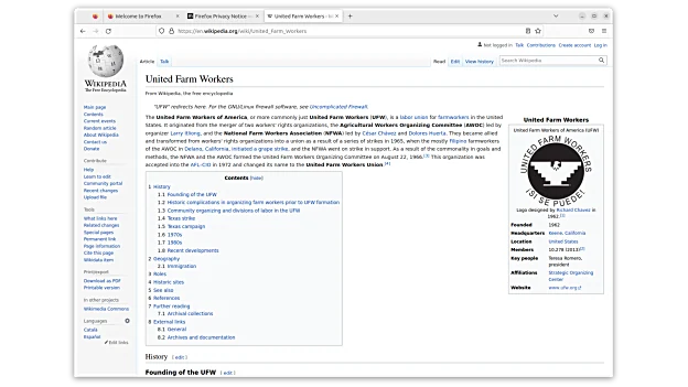 Скриншот Mozilla Firefox 2
