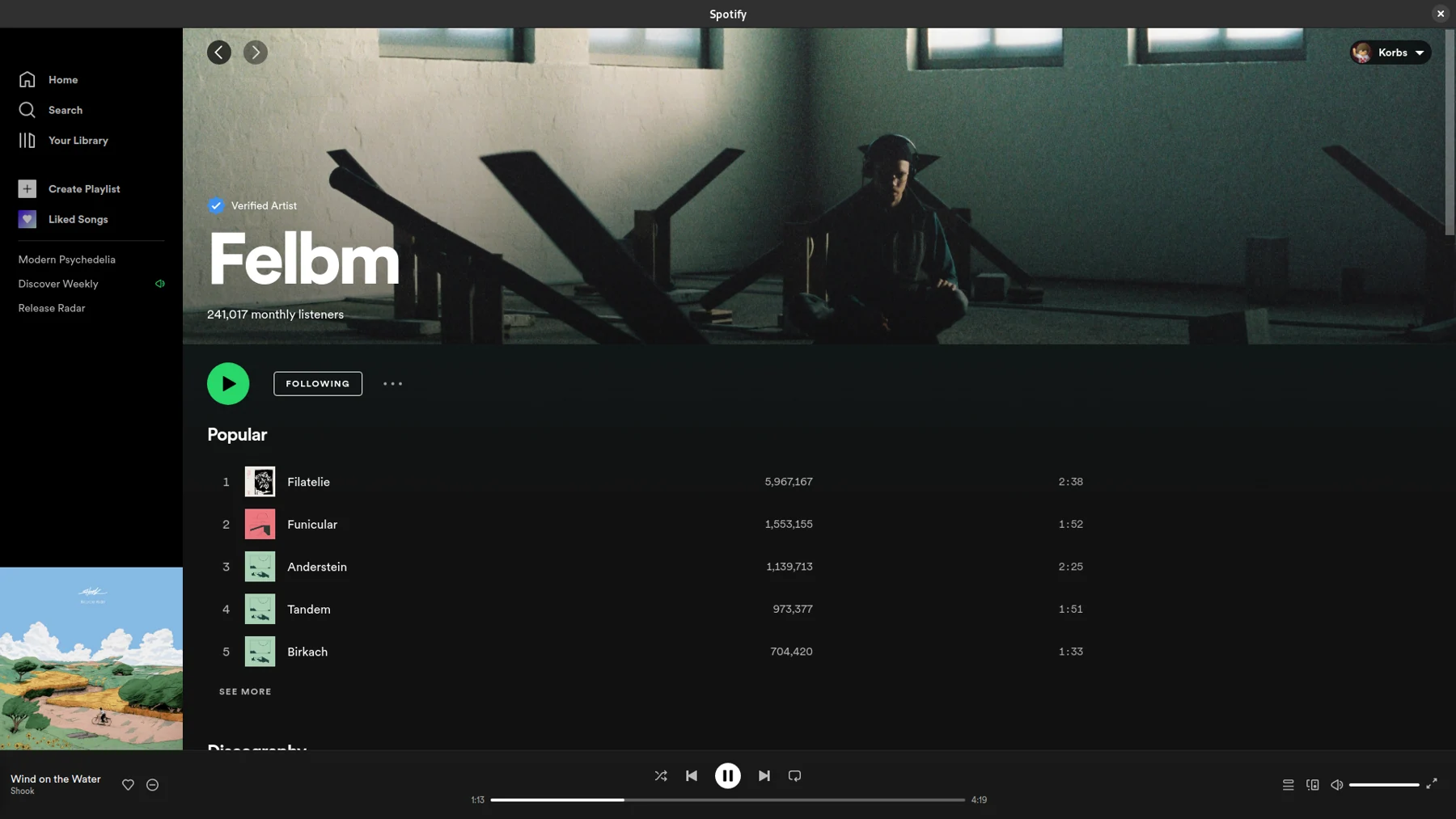 Скриншот Spotify 1