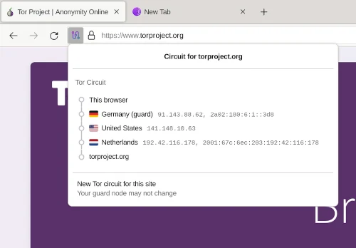 Скриншот Tor Browser 2
